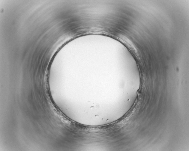 X0000088571190200706221244