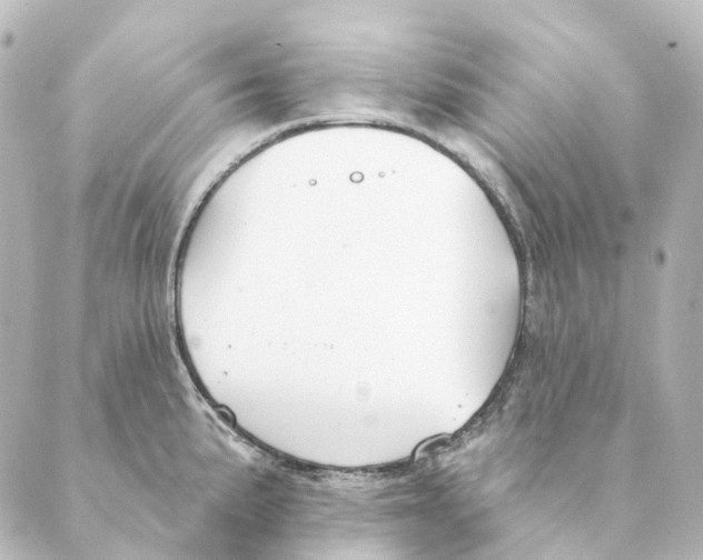 X0000088571191200706221244