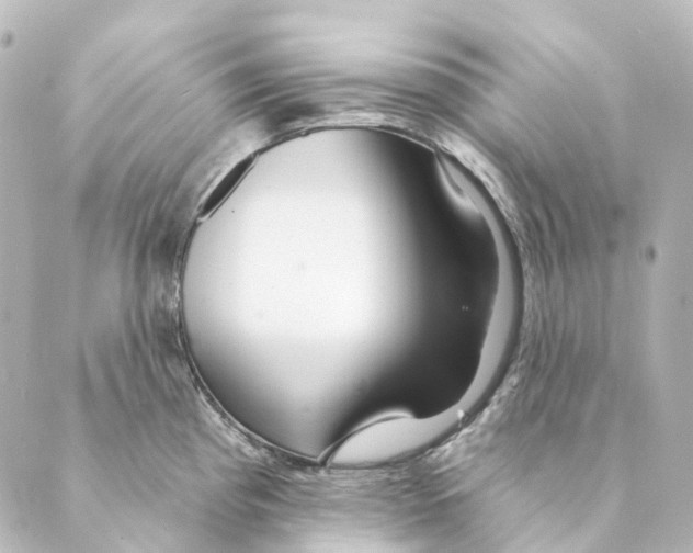 X0000088571193200706221244