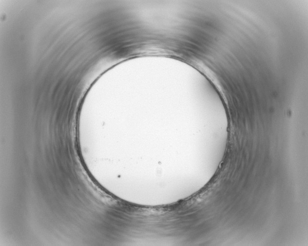 X0000088571195200706221243