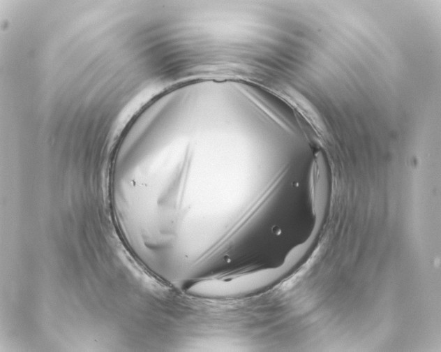 X0000088571196200706221243