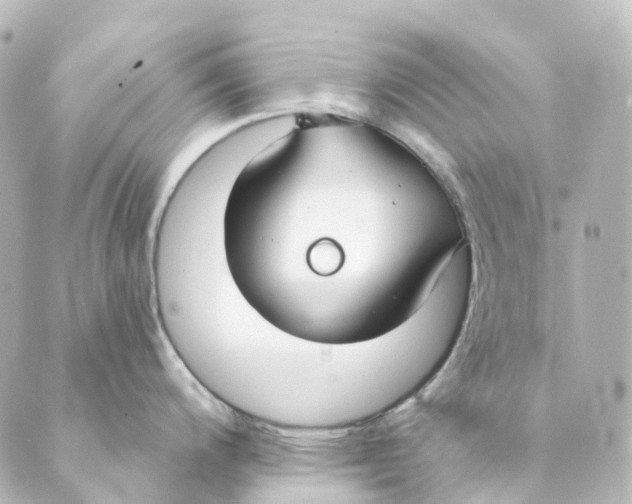 X0000088571200200706221243