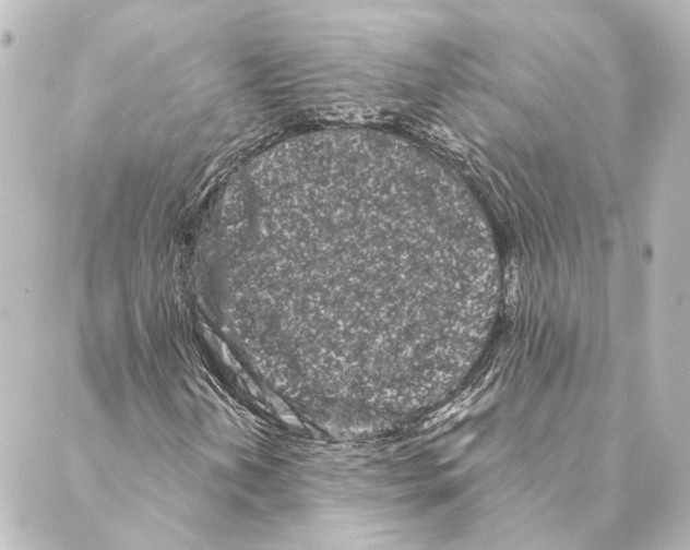 X0000088571202200706221243