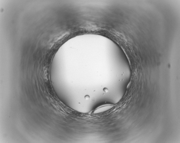 X0000088571205200706221243