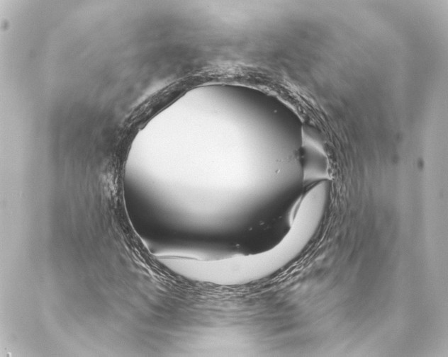 X0000088571206200706221243