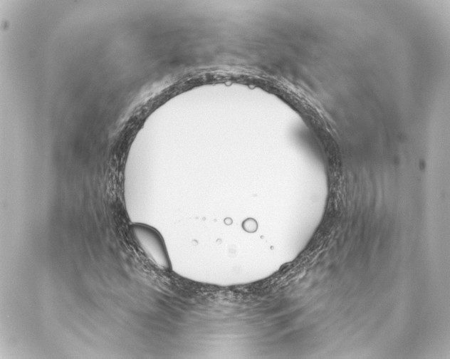 X0000088571207200706221243