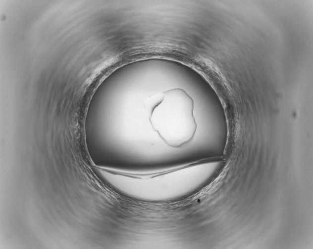 X0000088571210200706221243