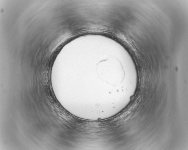 X0000088571211200706221243