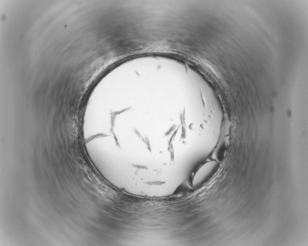 X0000088571212200706221243