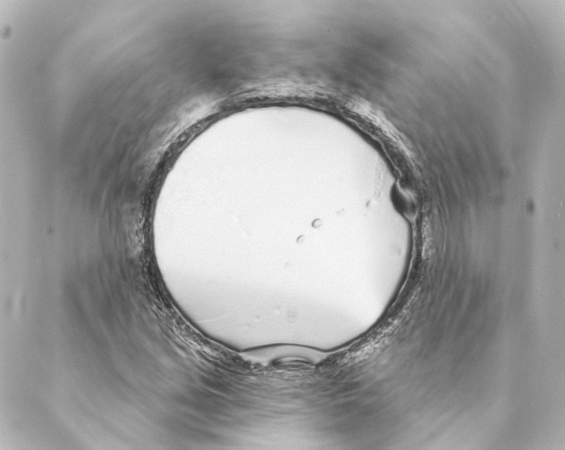 X0000088571213200706221243