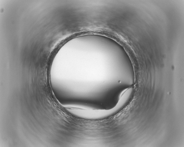 X0000088571214200706221243