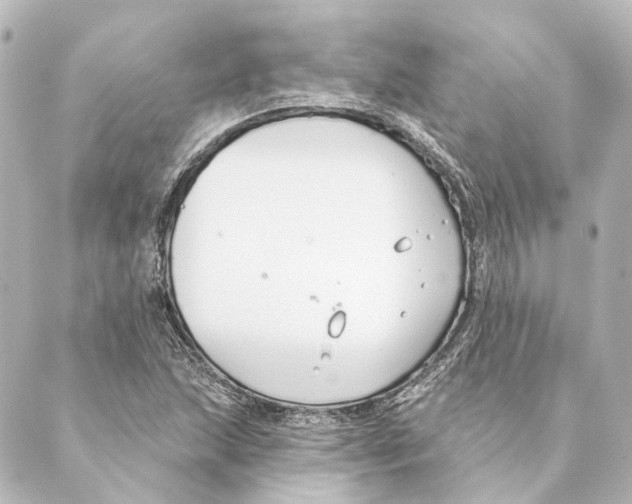 X0000088571215200706221243