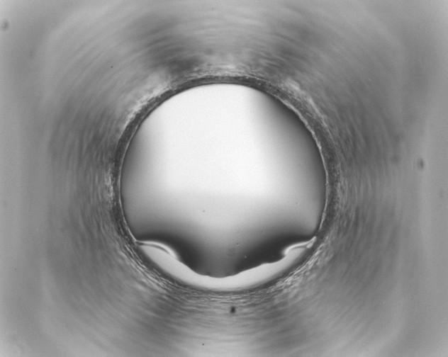 X0000088571218200706221243