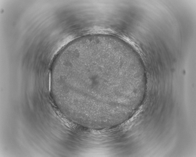 X0000088571219200706221243