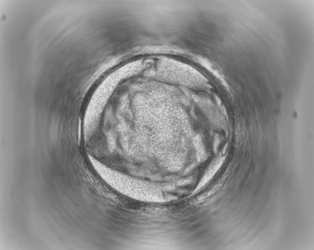 X0000088571221200706221243