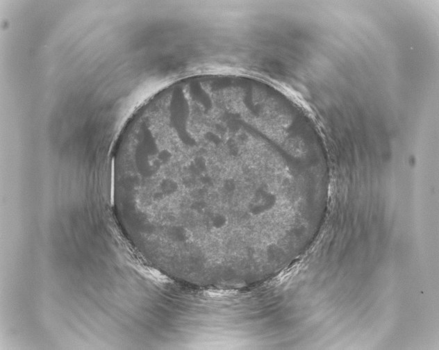 X0000088571223200706221243