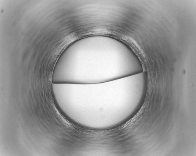 X0000088571225200706221243