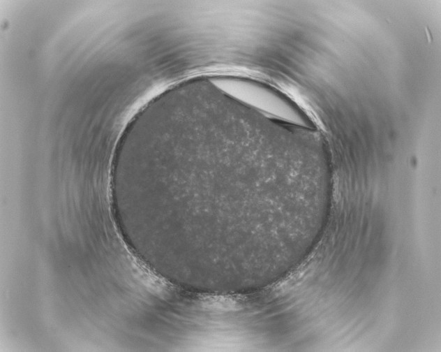 X0000088571229200706221243