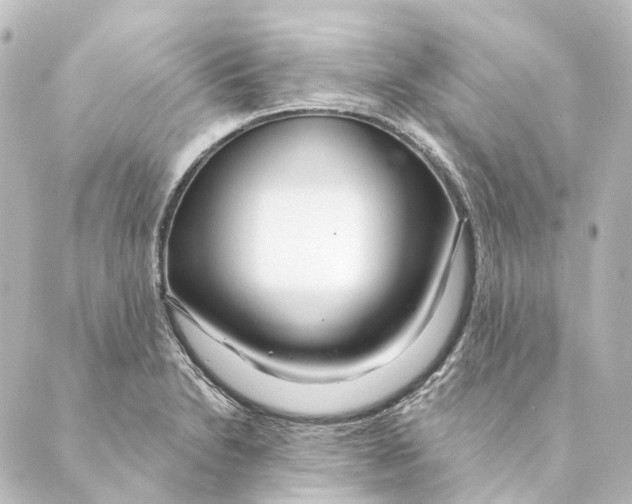 X0000088571230200706221243