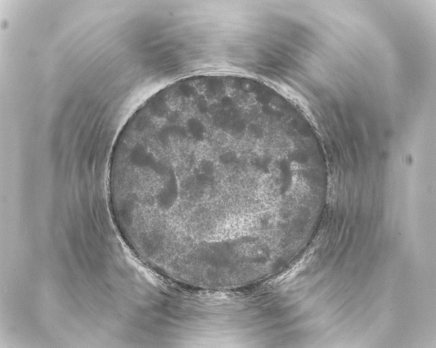 X0000088571231200706221243