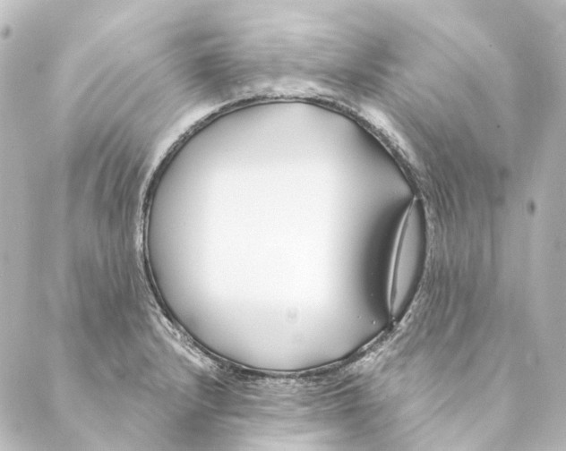 X0000088571232200706221243