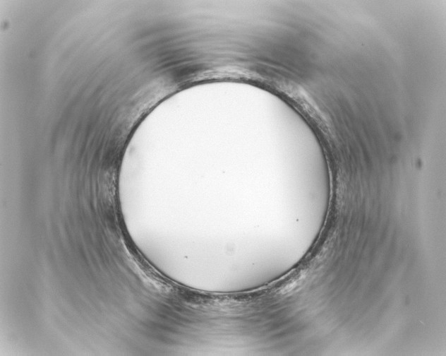 X0000088571233200706221243