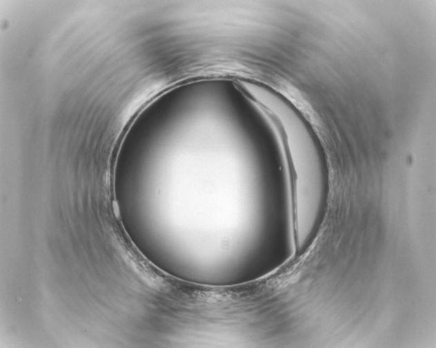 X0000088571234200706221243