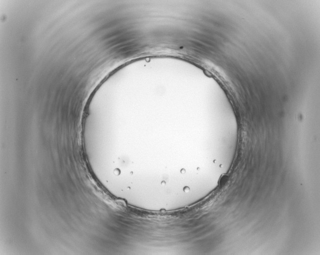 X0000088571236200706221243