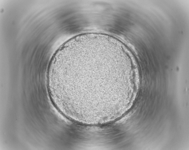 X0000088571239200706221243