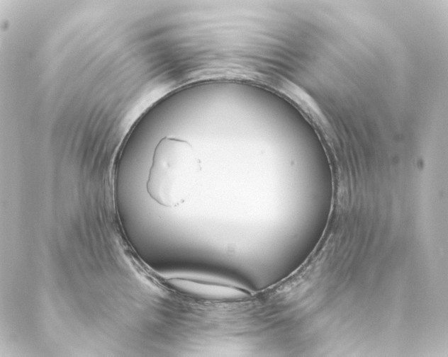 X0000088571242200706221243