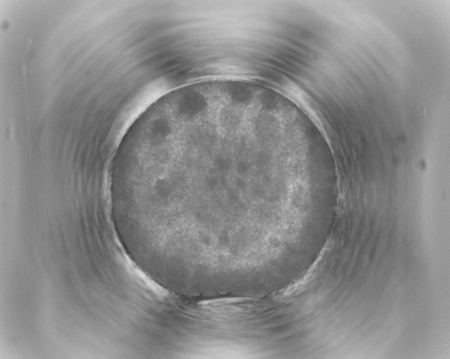 X0000088571243200706221243