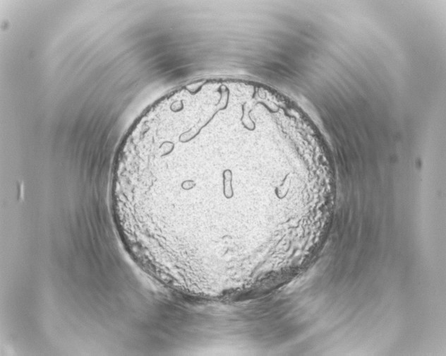 X0000088571245200706221243