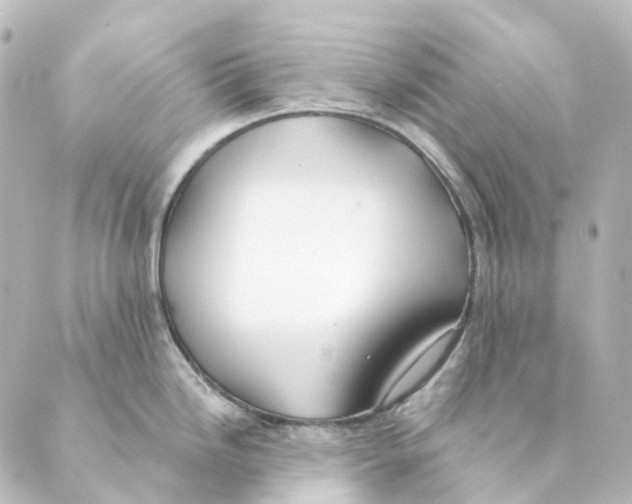 X0000088571246200706221243