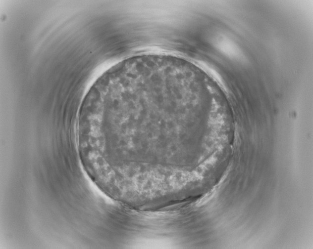 X0000088571247200706221243