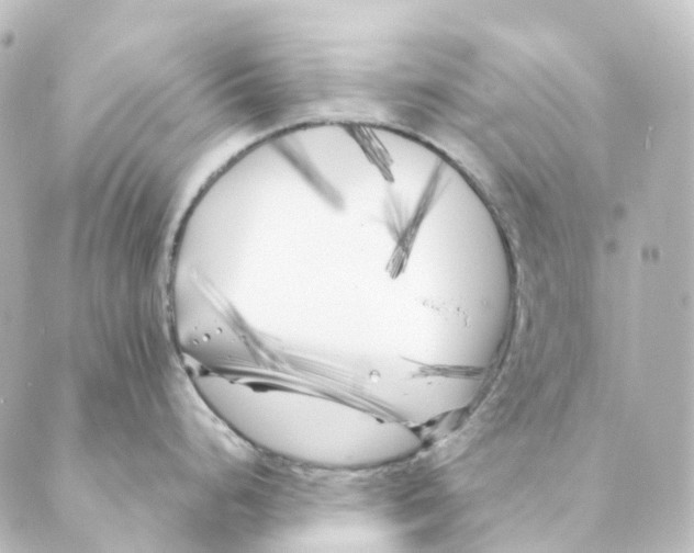 X0000088571248200706221243