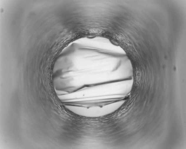 X0000088571249200706221243