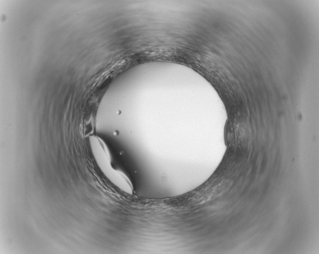 X0000088571250200706221243