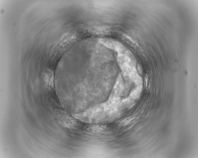 X0000088571251200706221243