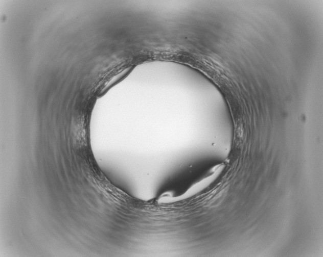 X0000088571252200706221243