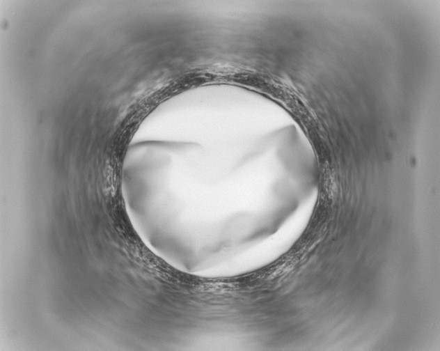 X0000088571253200706221243