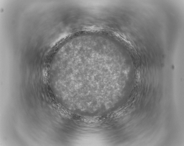 X0000088571254200706221243