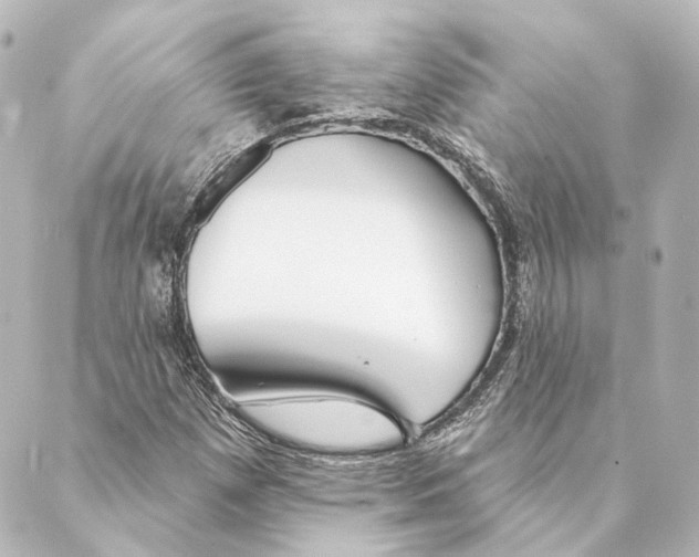 X0000088571257200706221242