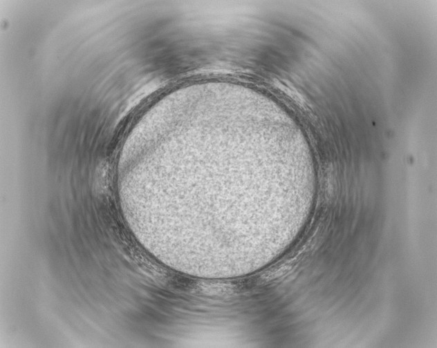 X0000088571258200706221242