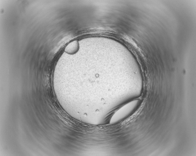 X0000088571259200706221242