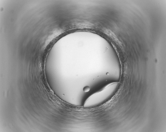 X0000088571261200706221242