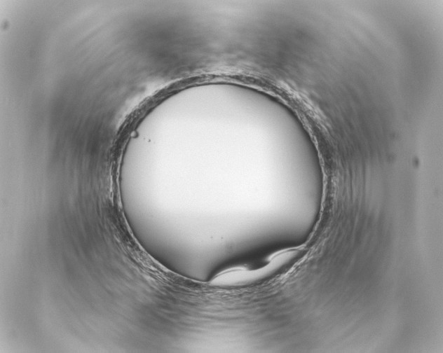 X0000088571262200706221242