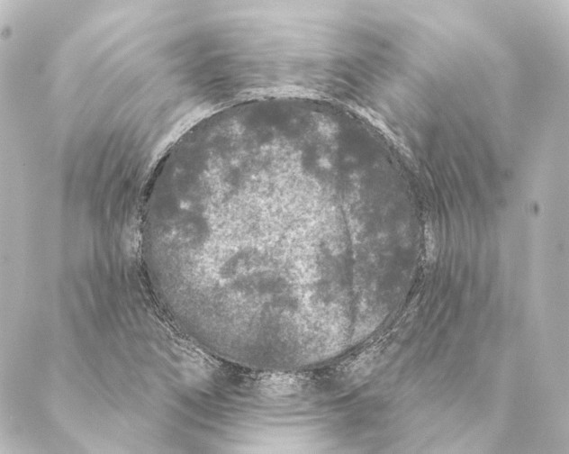 X0000088571266200706221242