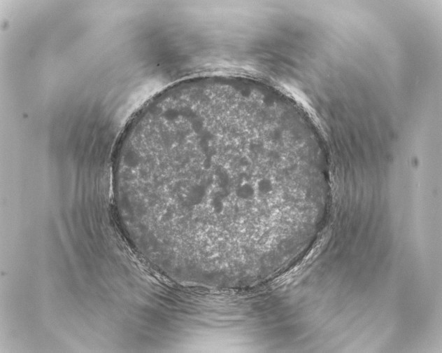 X0000088571267200706221242