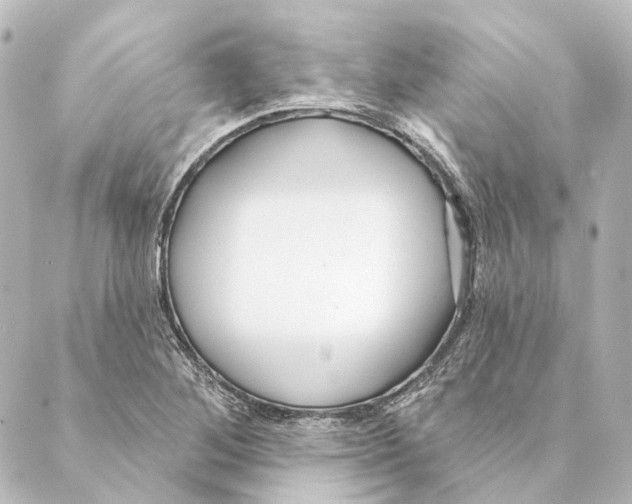 X0000088571268200706221242