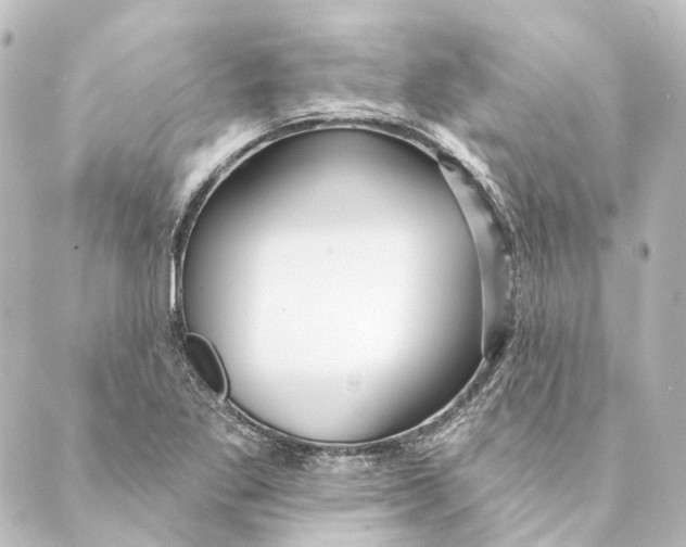 X0000088571269200706221242